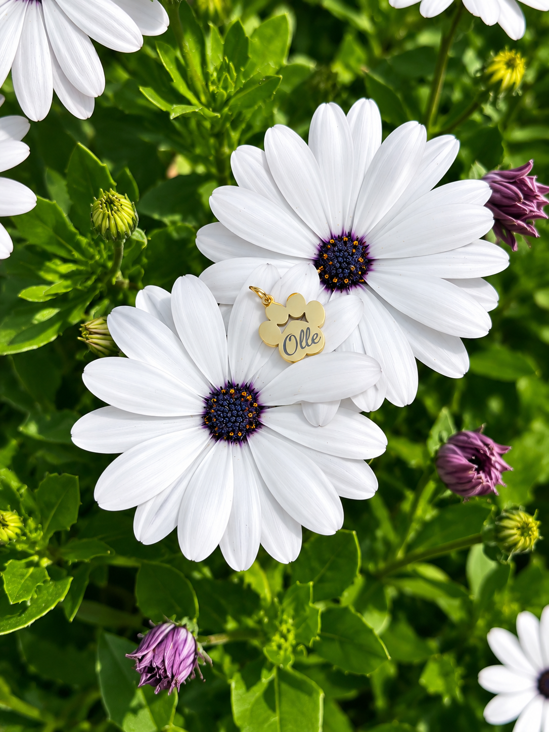 Hondenpootje ketting gepersonaliseerd
